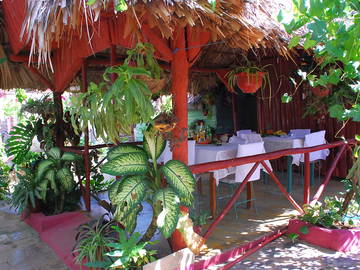 Chambre Chez L'habitant Viñales 227020-4