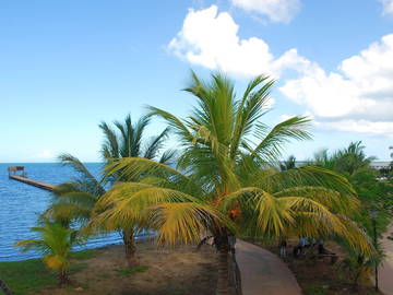 Chambre Chez L'habitant Viñales 227020-9