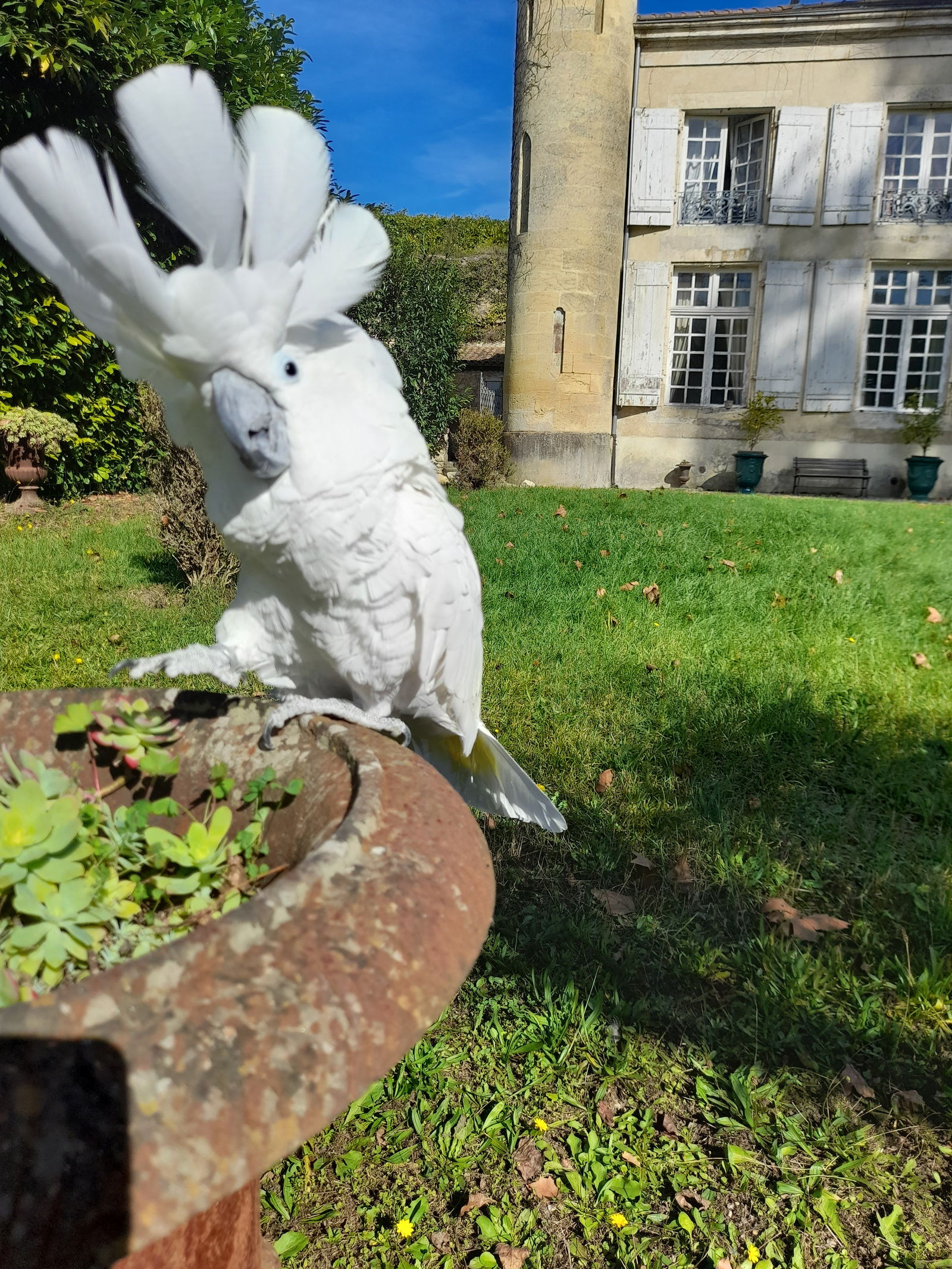 Homestay Le Tourne 256573