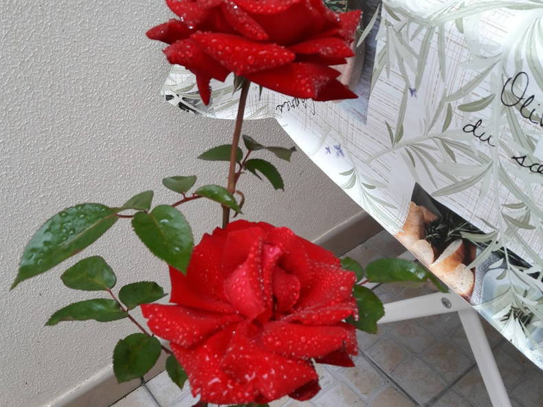 Zakwaterowanie U Rodziny Atouguia da Baleia 204863-3