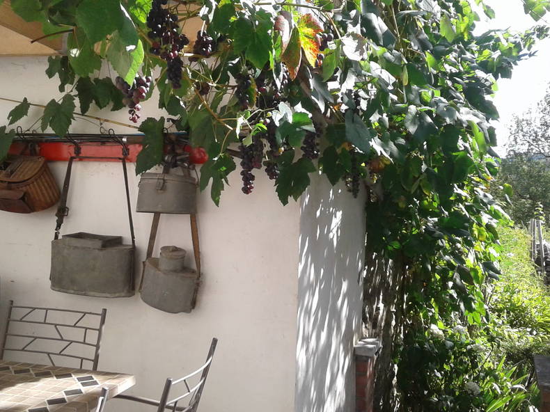 Entire Home Saint-Hubert 257587-5