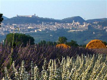 Logement Entier Bastia Umbra 114630-12