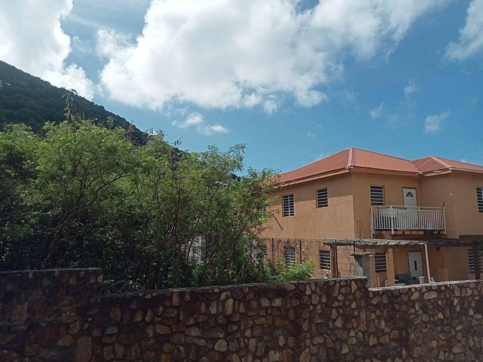 Homestay Cole Bay 648987