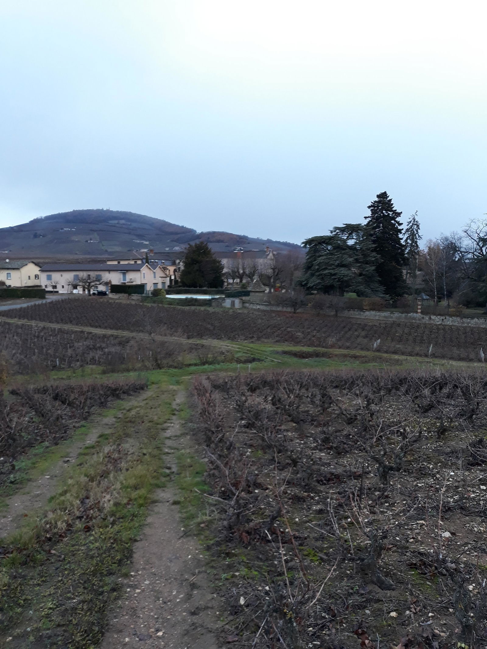 Homestay Charentay 189087