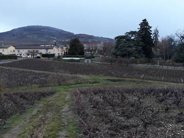 Chambre Chez L'habitant Charentay 189087-5