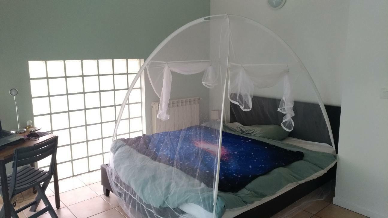 Colocation Avignon 254767