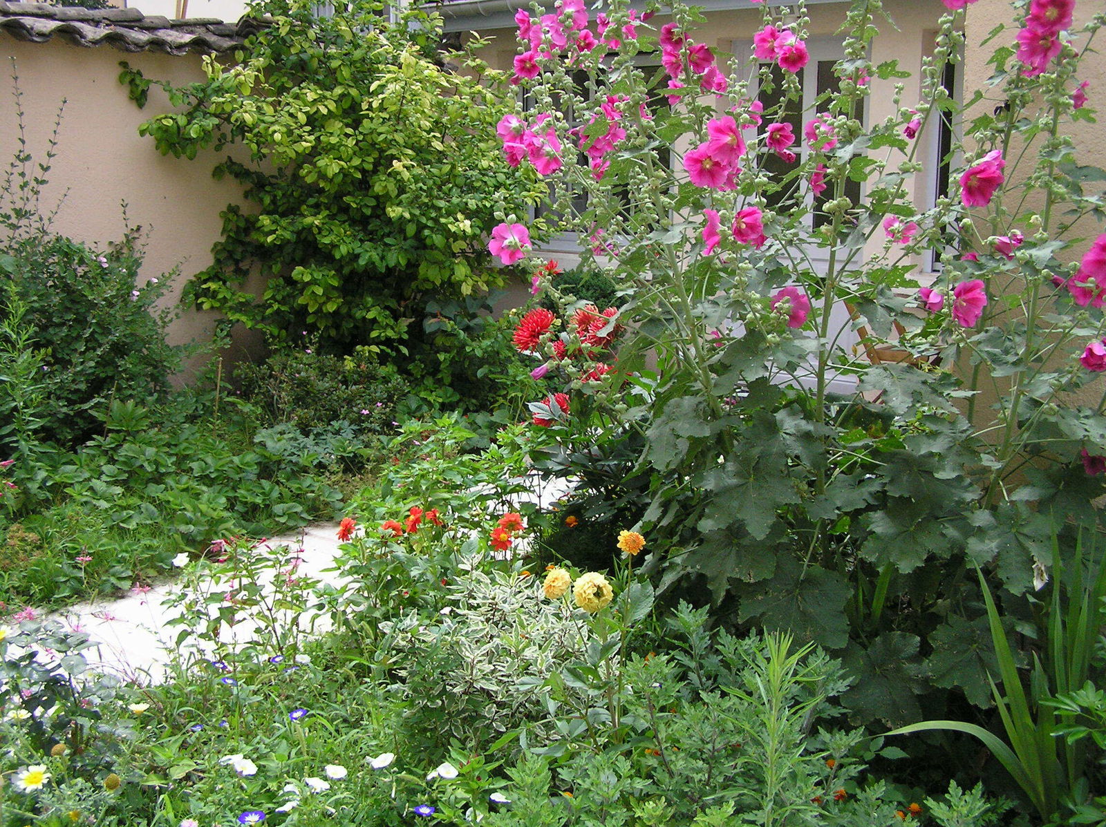 Homestay Lyon 158426