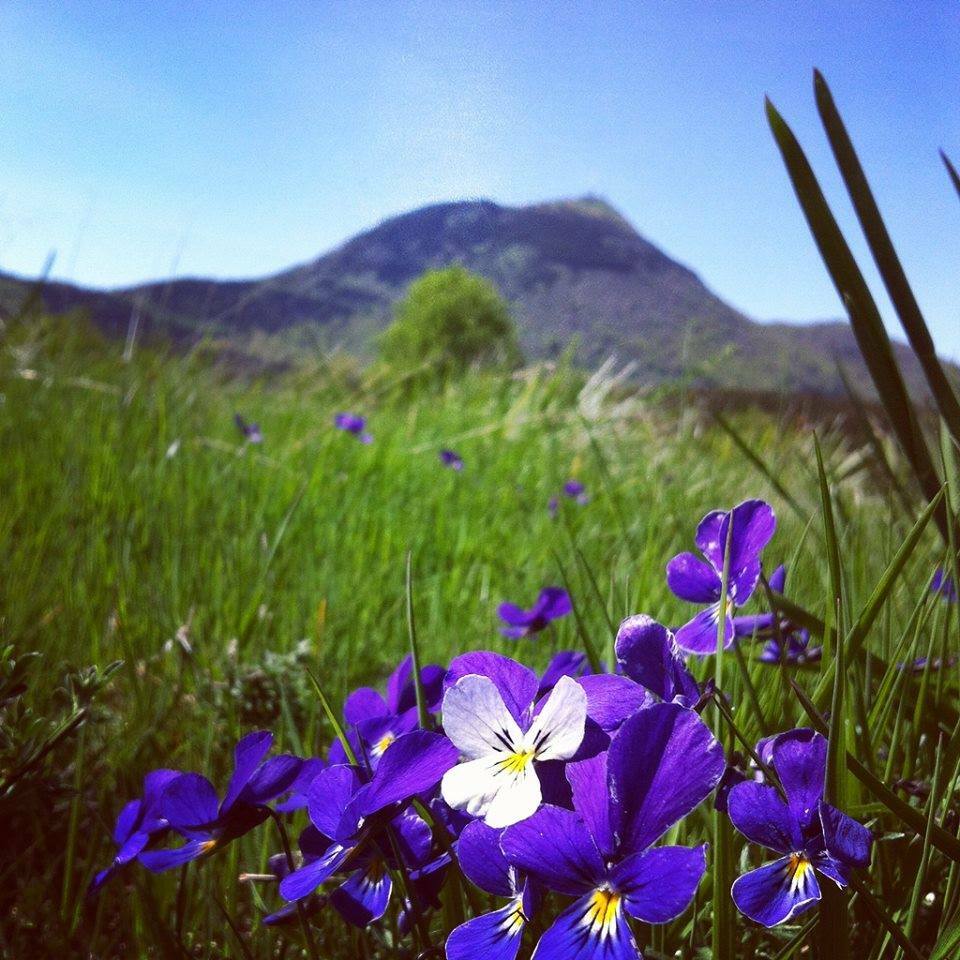 Independent Studio Ceyssat 152157