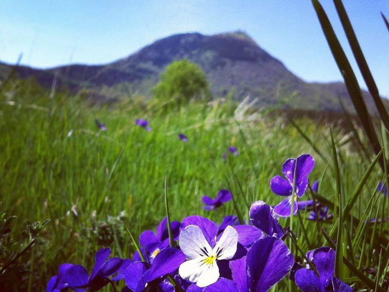 Tutta La Casa Ceyssat 152157-3