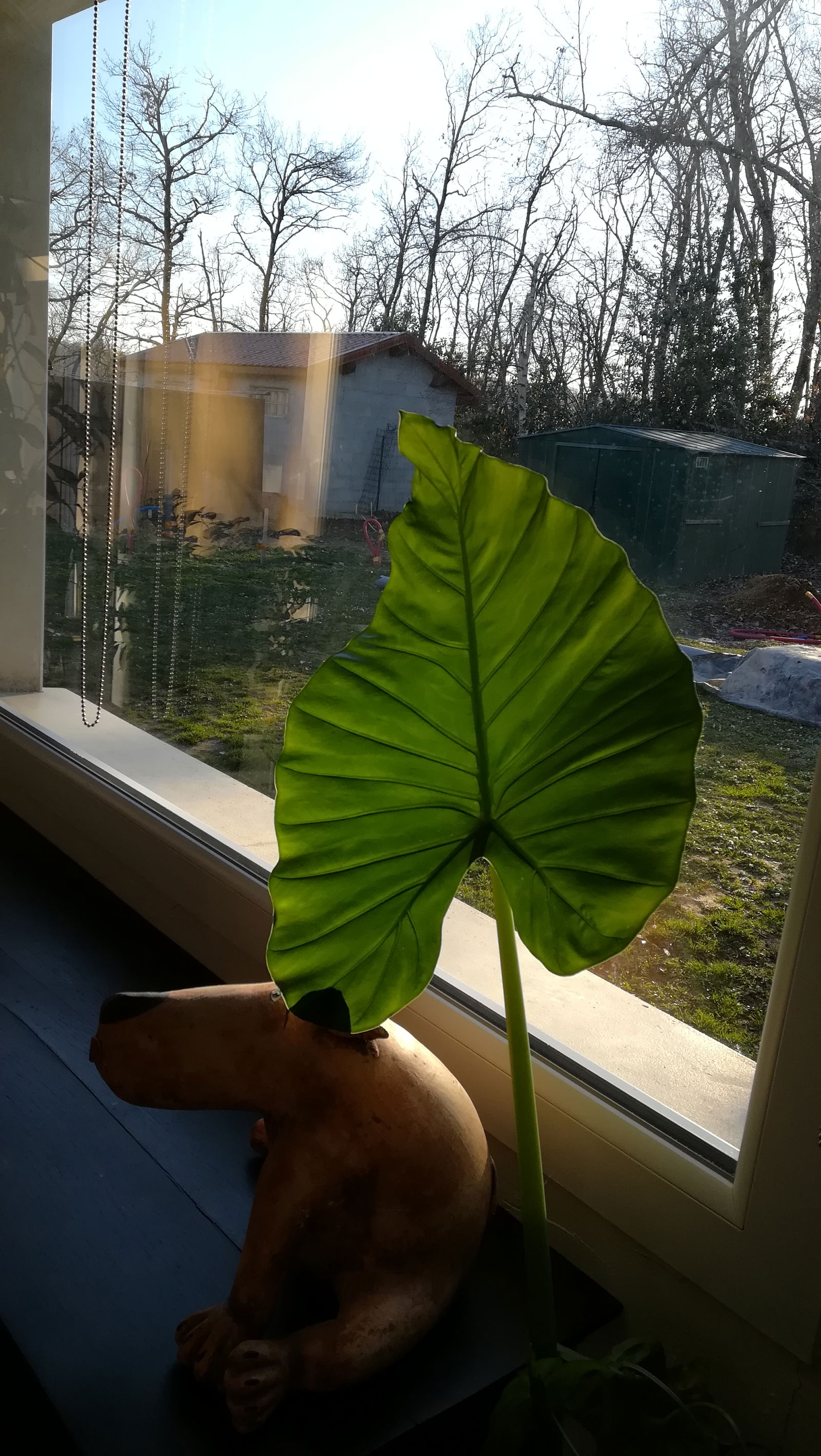 Homestay Villefontaine 265718