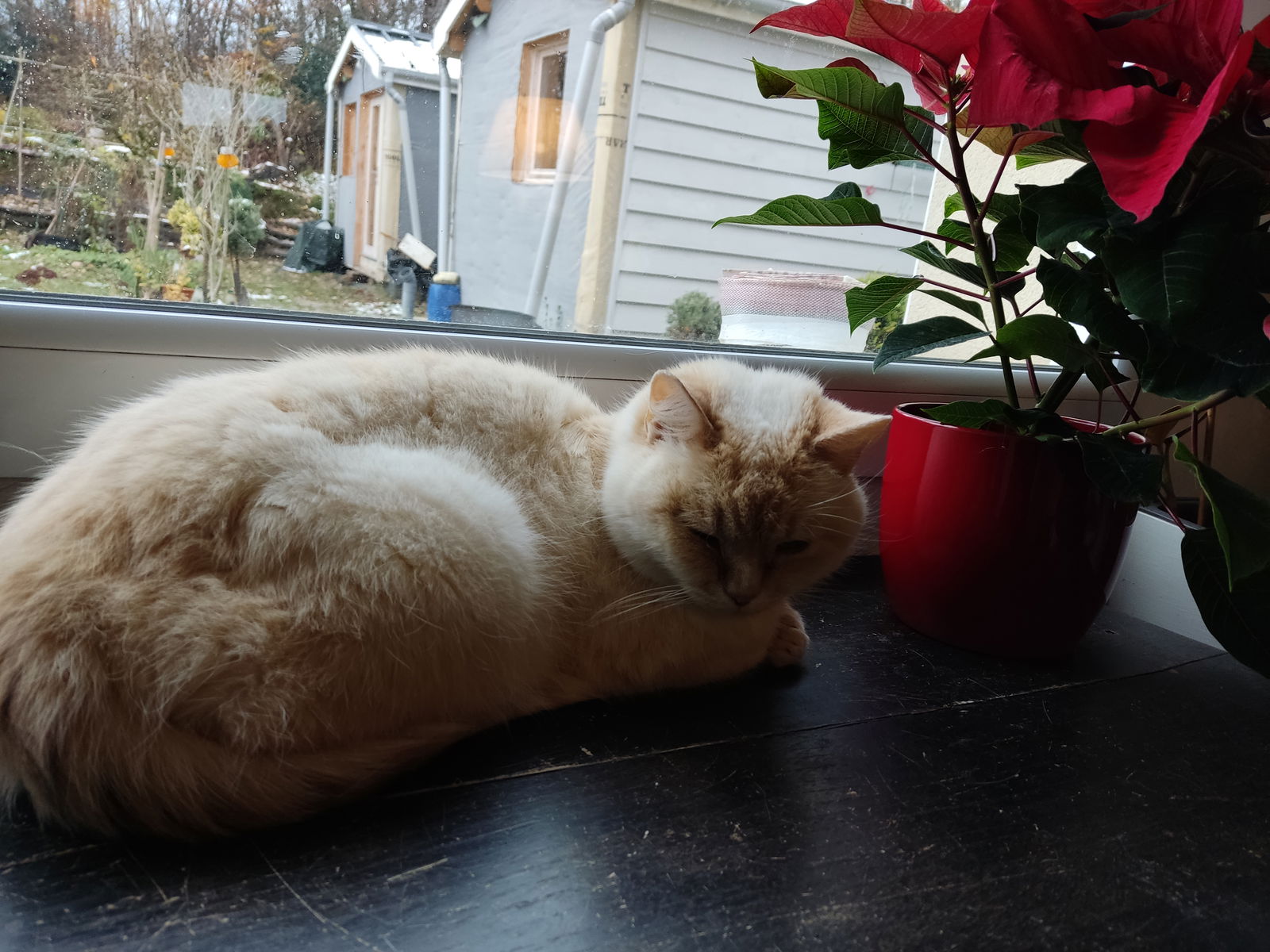 Homestay Villefontaine 265718