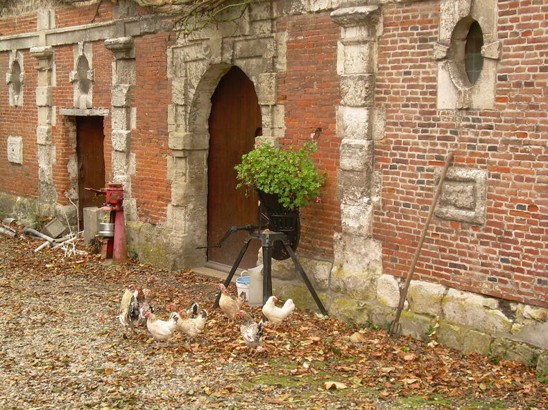 Chambres D'hôtes Criquetot-l'Esneval 120917-4