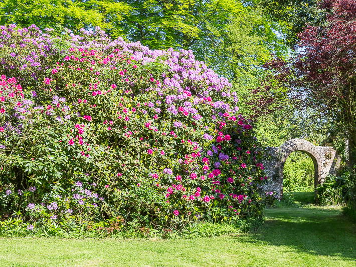 Chambres D'hôtes Criquetot-l'Esneval 120917-5