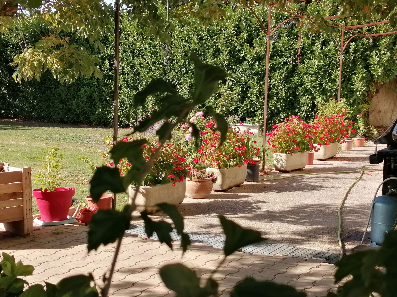 Homestay Piolenc 230247