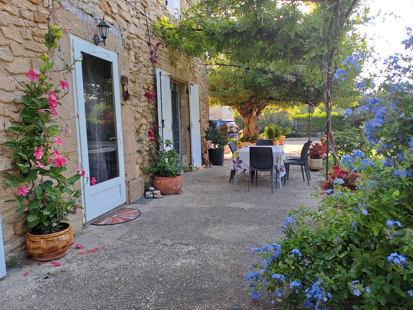 Homestay Piolenc 230247