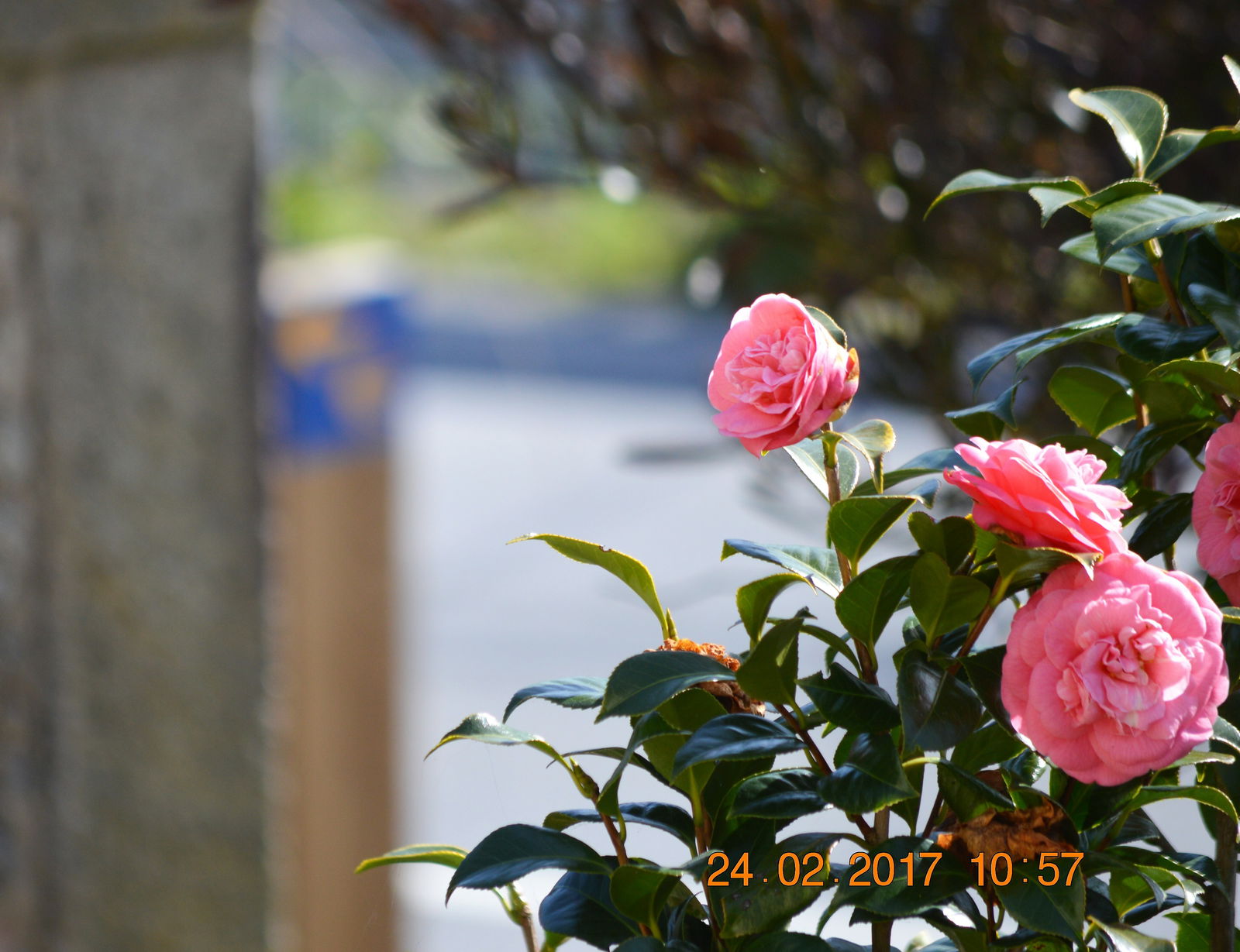 Bed And Breakfast Viana do Castelo 162490