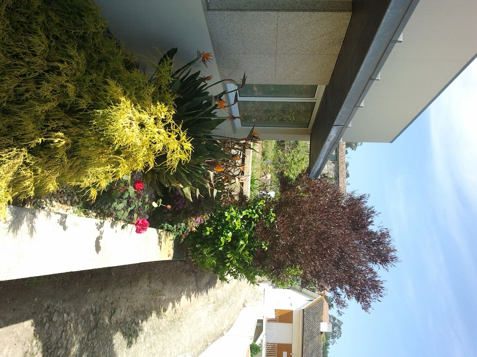 Bed And Breakfast Viana do Castelo 162490