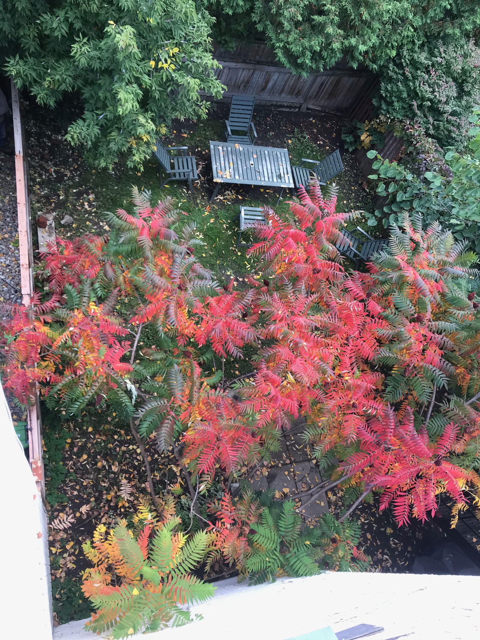 Independent Studio Montréal 256269