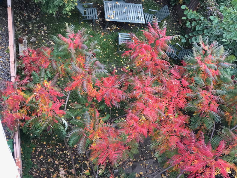 Hele Huis Montréal 256269-3