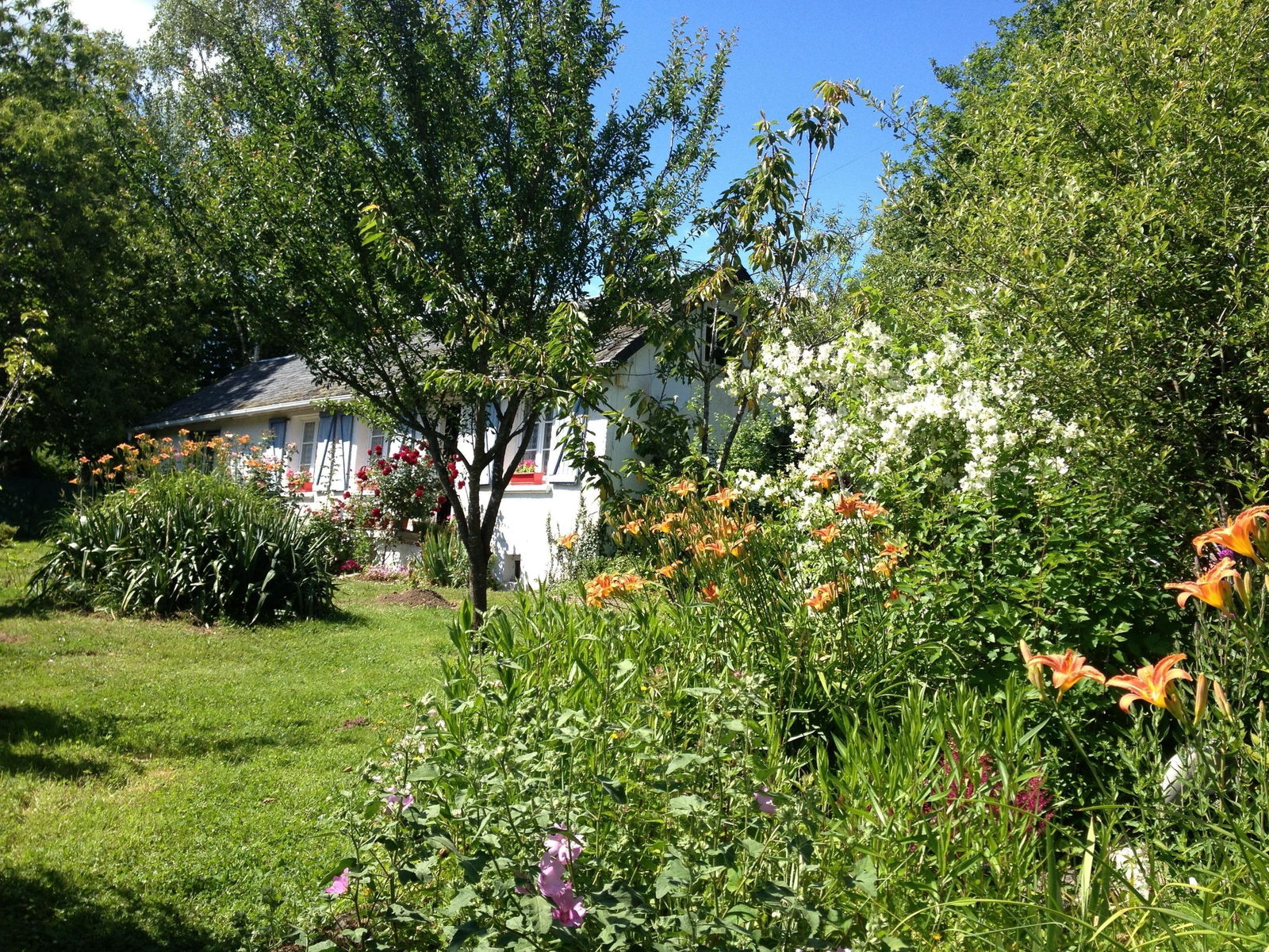 Bed And Breakfast Saint-Paul 141979