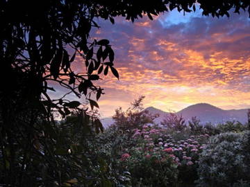 Chambre D'hôte Seguret 170412-8