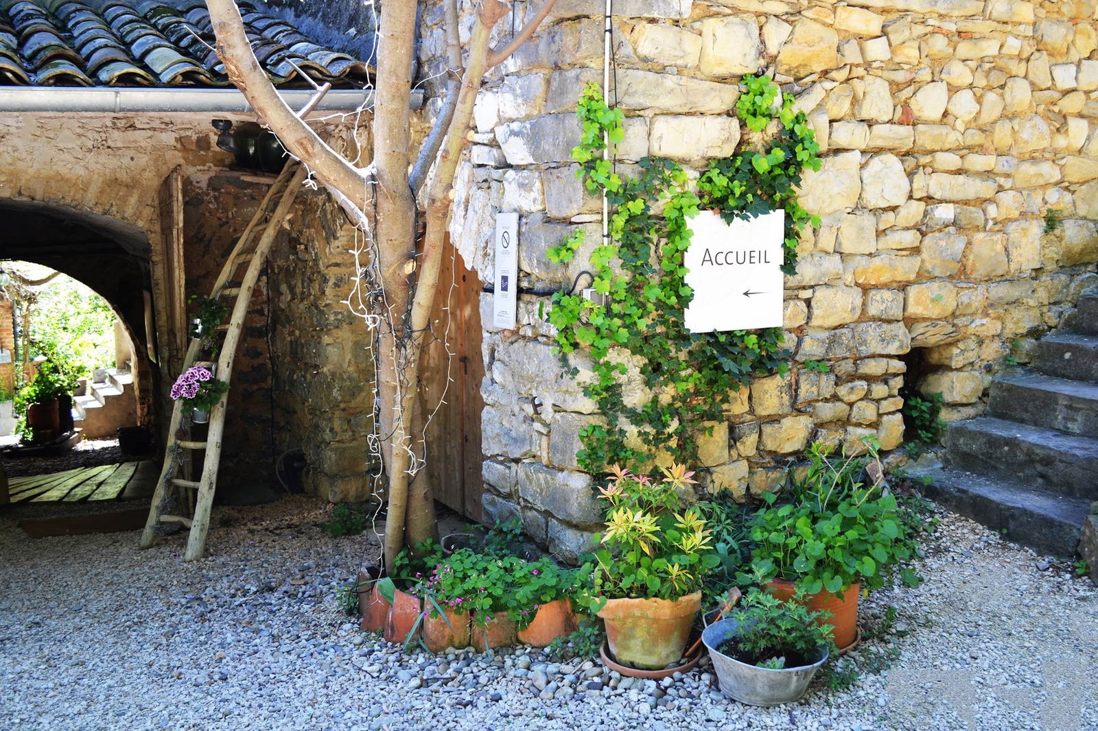 Bed And Breakfast Durfort-et-Saint-Martin-de-Sossenac 142571