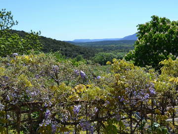 Chambre D'hôte Durfort-Et-Saint-Martin-De-Sossenac 142571-10