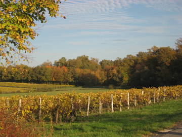 Chambre Chez L'habitant Soubran 165057-7