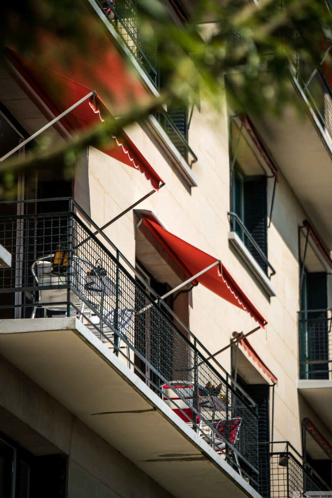 Homestay Fontainebleau 242837