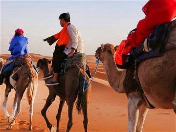 Chambre À Louer Merzouga 147388