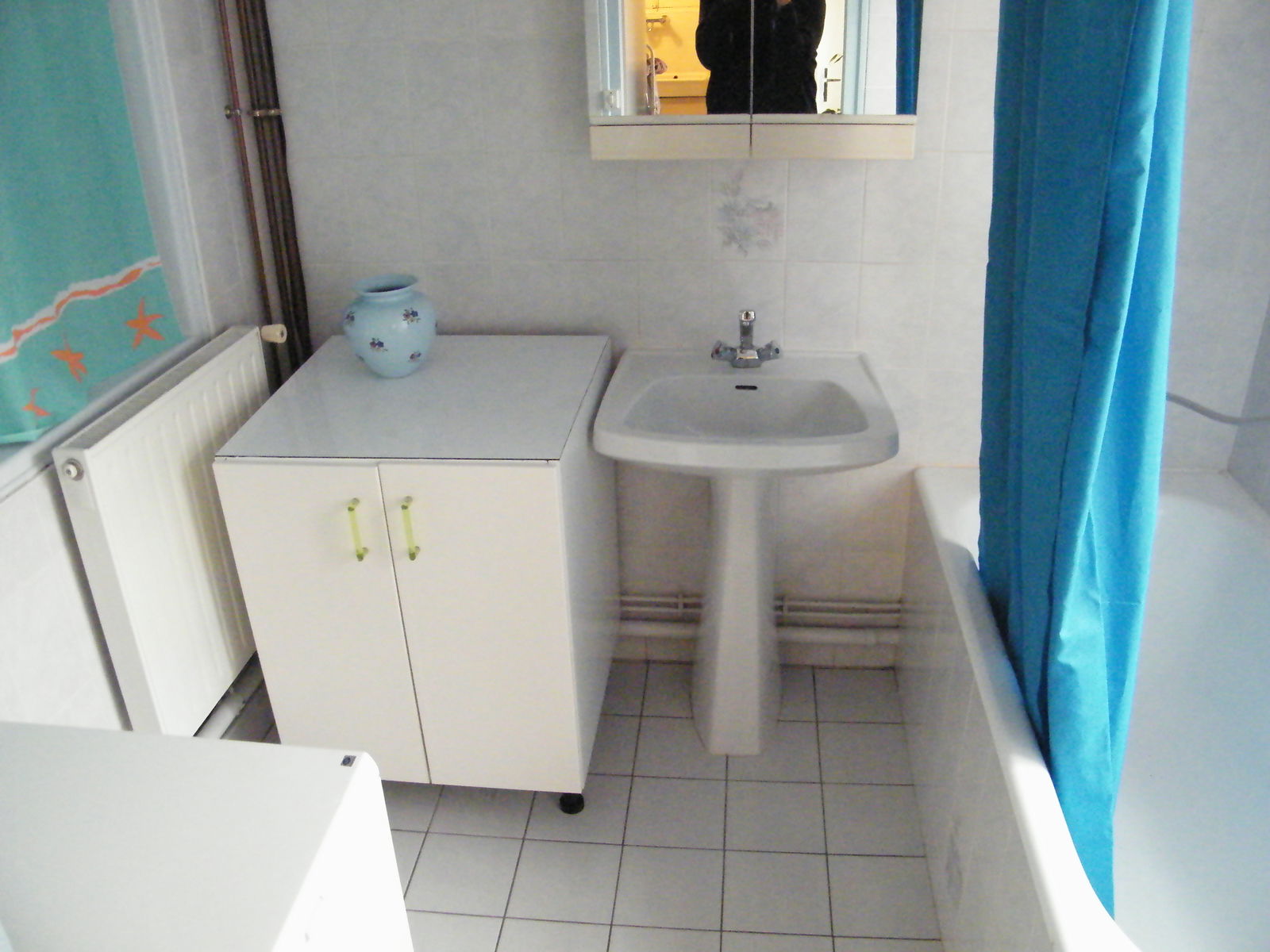 Colocation La Chapelle-Saint-Laurent 217361