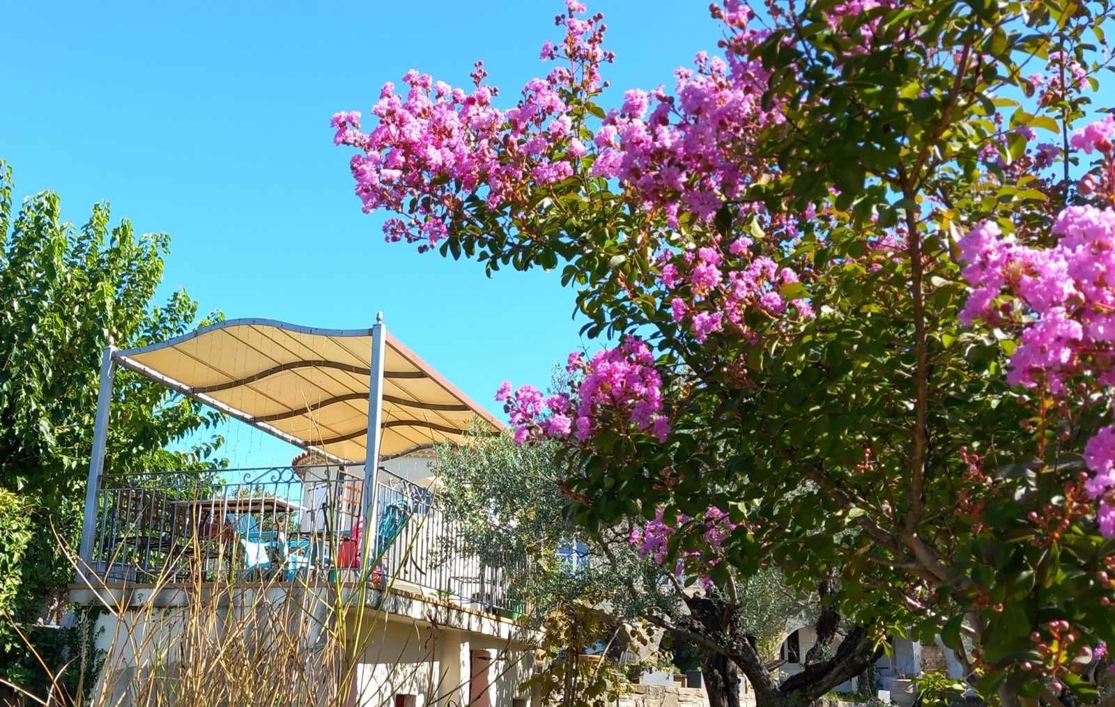 Homestay Alès 264216