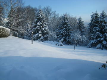 Logement Entier Dabo 71579-11