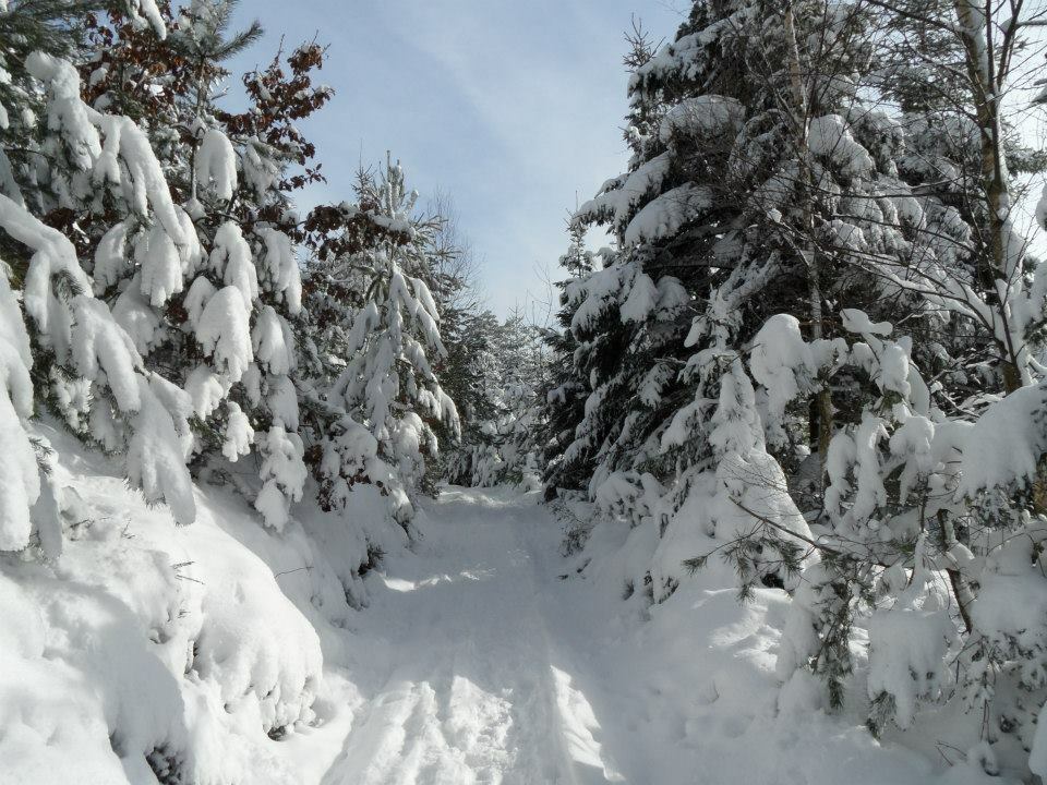 Bed And Breakfast Dabo 71580