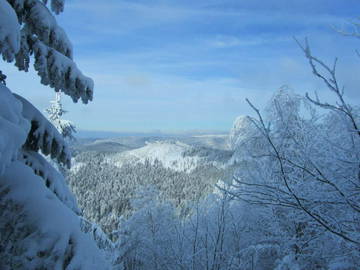Chambre D'hôte Dabo 71580-10