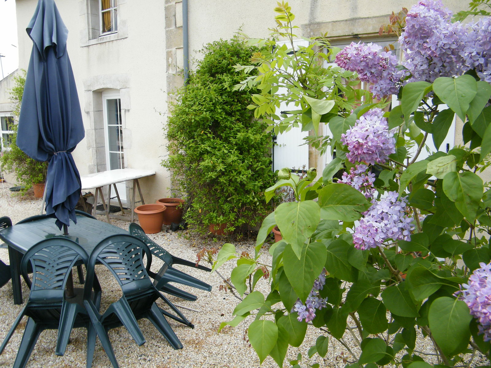 Homestay Antigny 244230