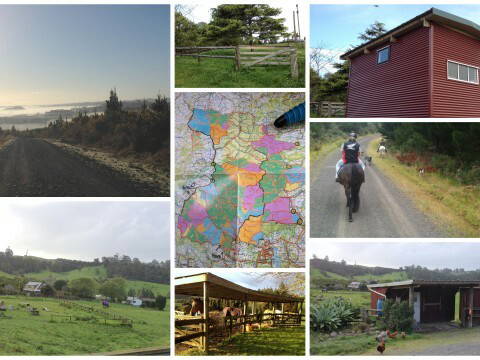 Entire Home Dairy Flat 172346-2