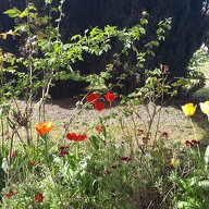 Homestay Montchanin 446370