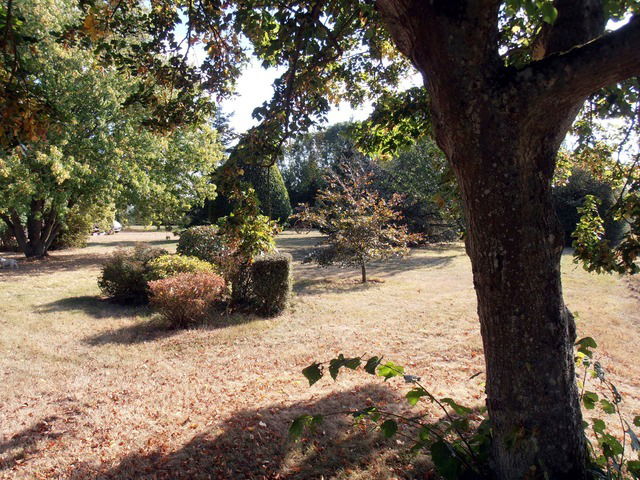 Independent Studio Saint-Arnoult-des-Bois 36272
