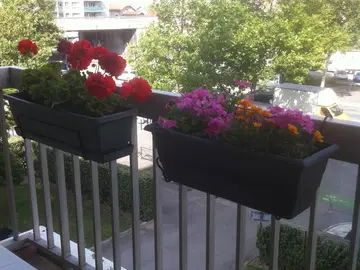 Homestay Grenoble 120140