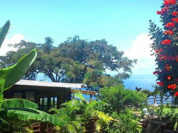 Room For Rent Piton Saint-Leu 96789