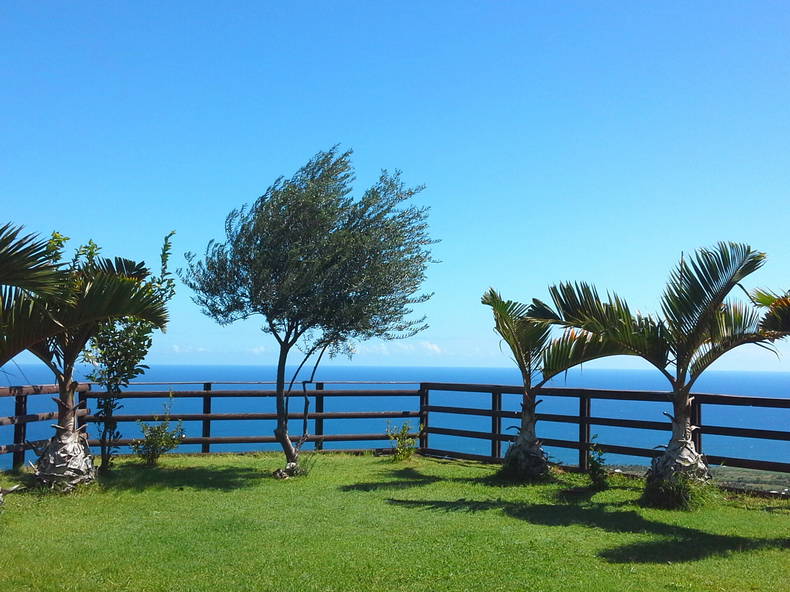 Tutta La Casa Piton Saint-Leu 96789-5