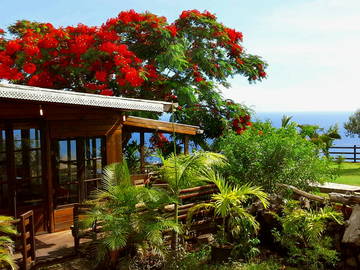 Logement Entier Piton Saint-Leu 96789-7