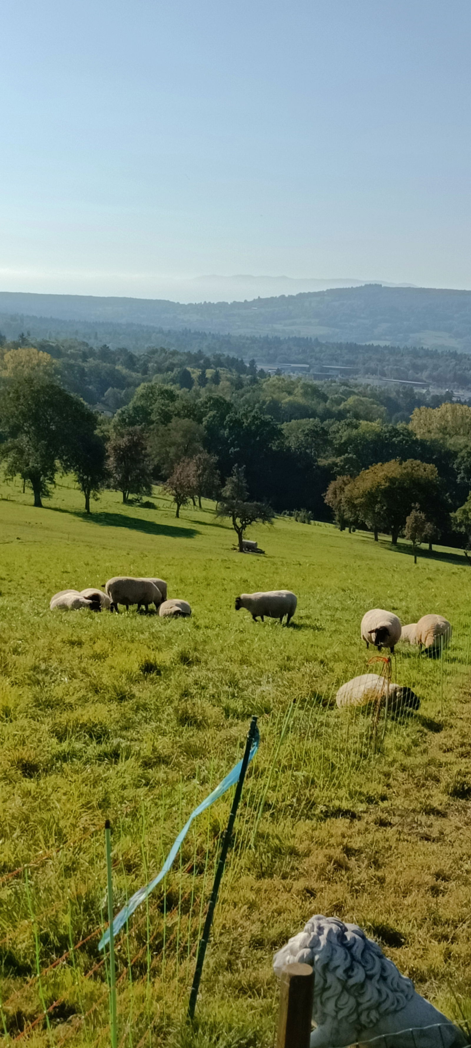 Colocación Thonon-les-Bains 266186