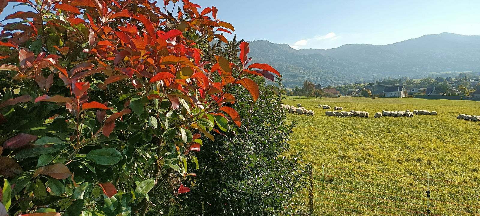 Colocation Thonon-les-Bains 266186
