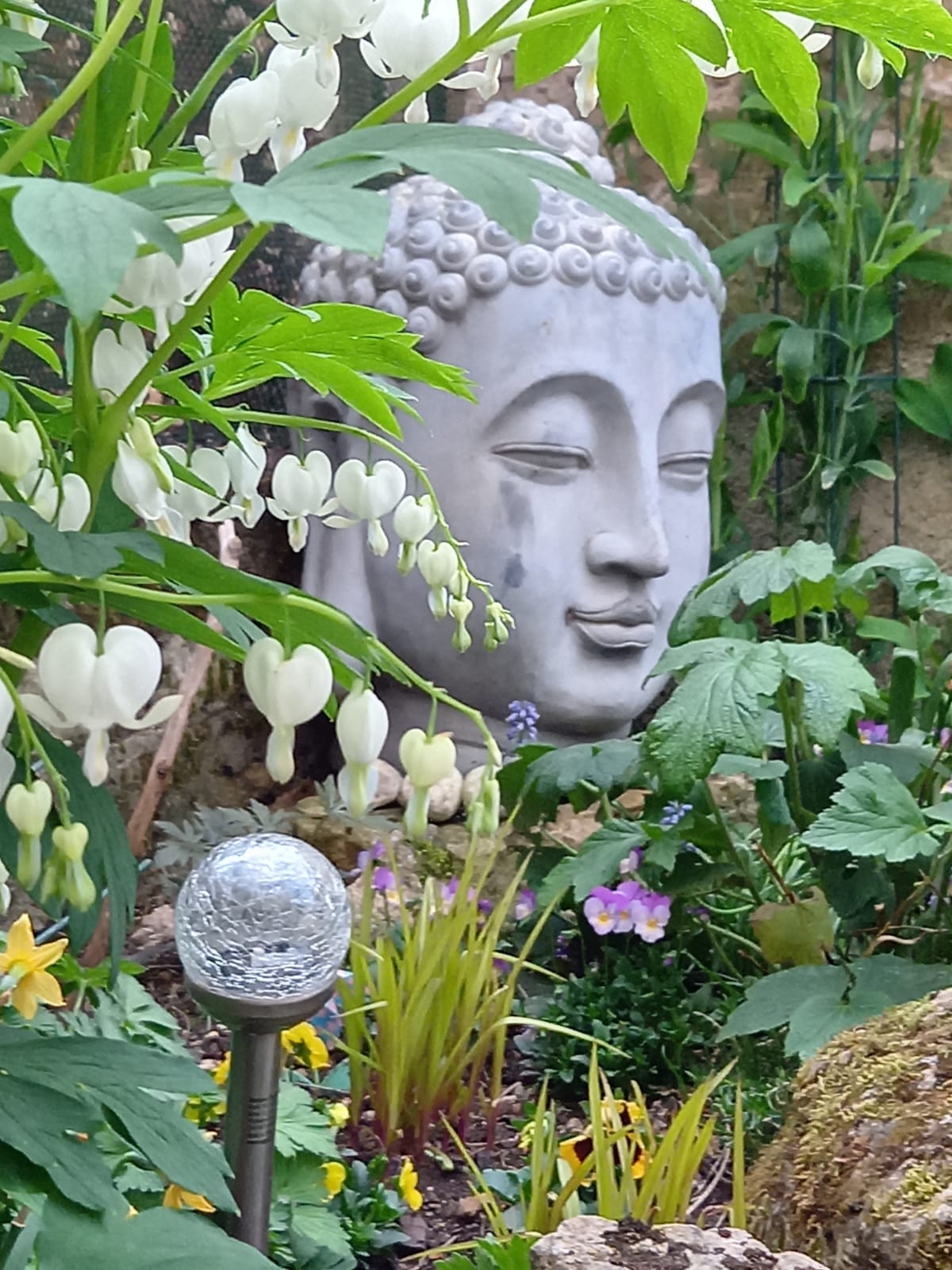 Kolokation Thonon-les-Bains 266186