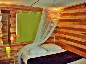 Ti Caze Nature, Bungalow à L'ombre De L'arbre Du Voyageur