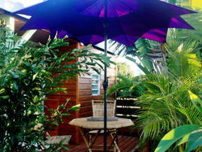 Ti Caze Nature, Bungalow à L'ombre De L'arbre Du Voyageur