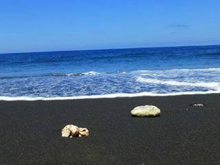 Logement Entier Etang-Salé Les Hauts 242142-11