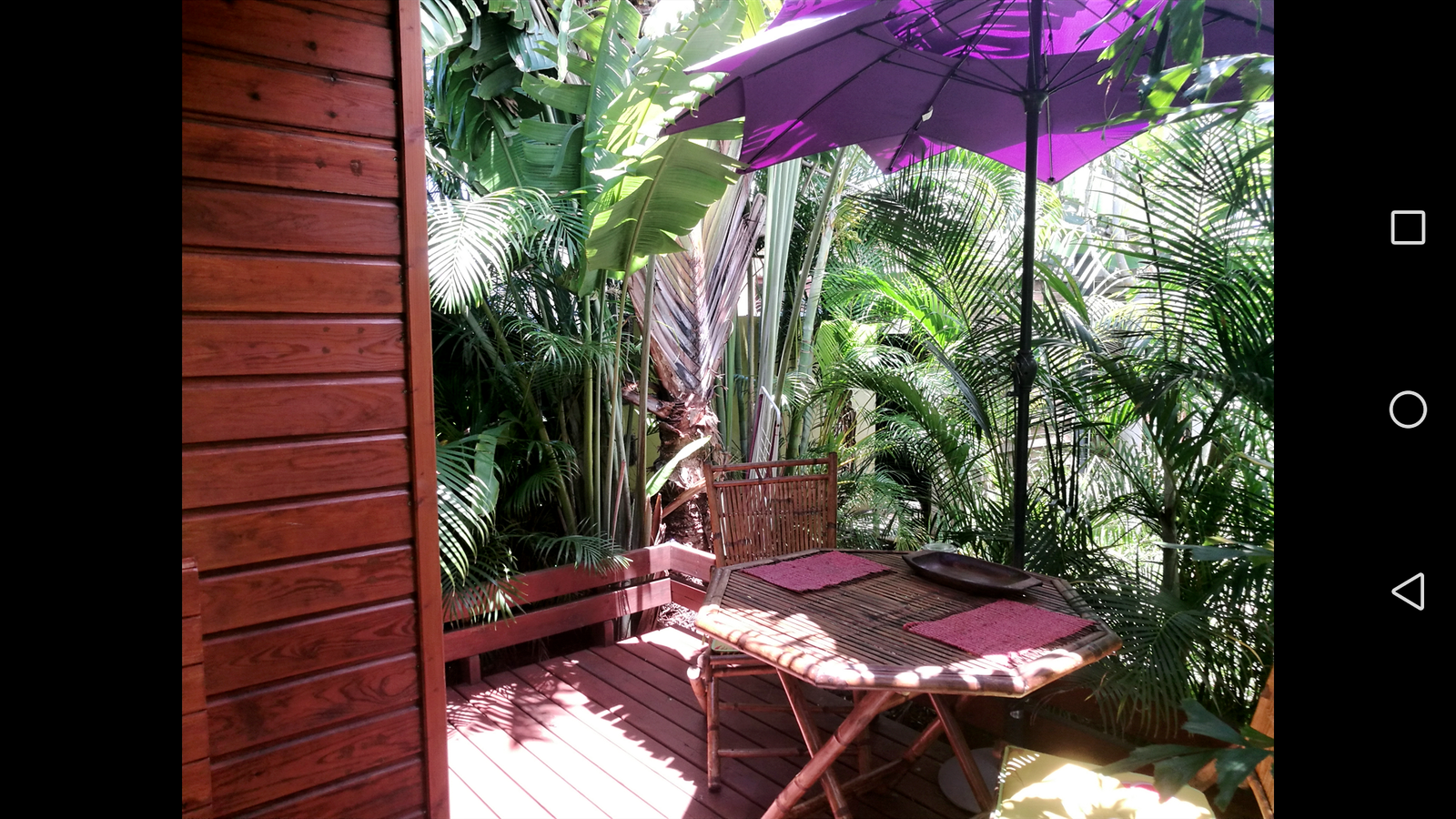 Tutta La Casa Etang-Salé les Hauts 242142